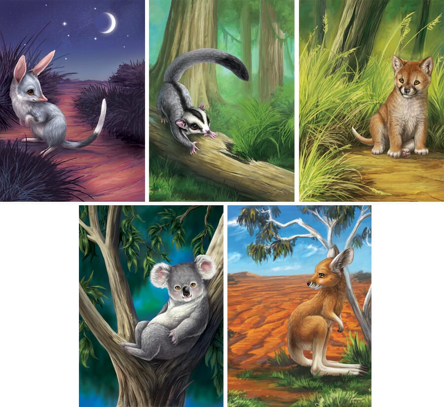 Illustrations for the Australian Bush Babies coin packaging