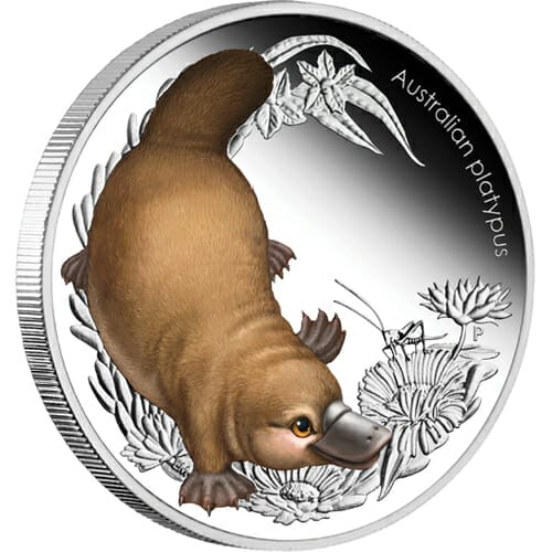Bush_Babies_II_Platypus_Reverse
