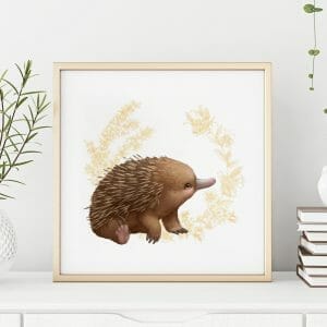 Echidna Art Print in Frame