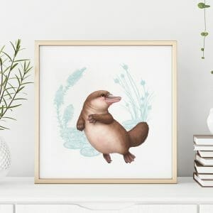 Platypus art print in frame