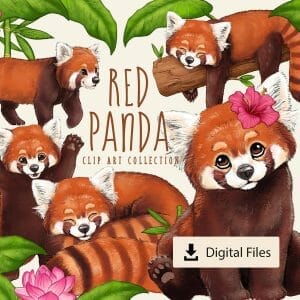 Collage preview of red panda clipart