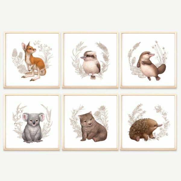 Australian animal art prints in frames on wall