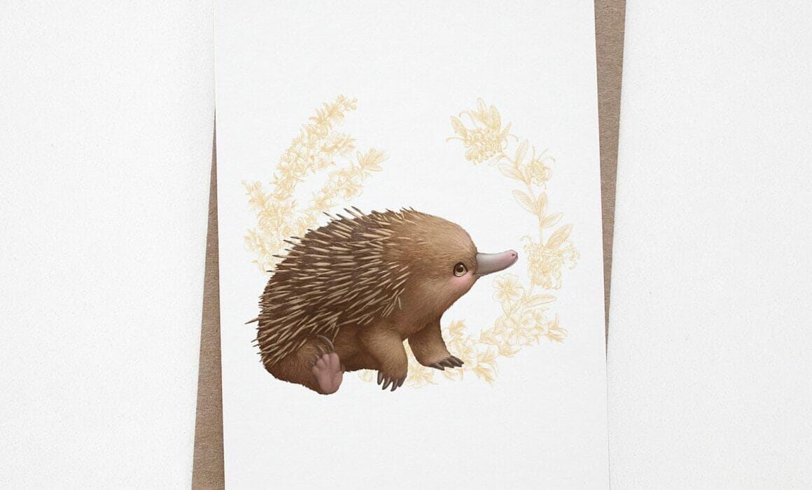 Echidna greeting card