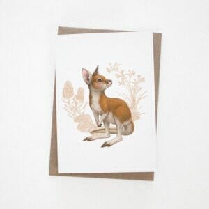 Kangaroo greeting card